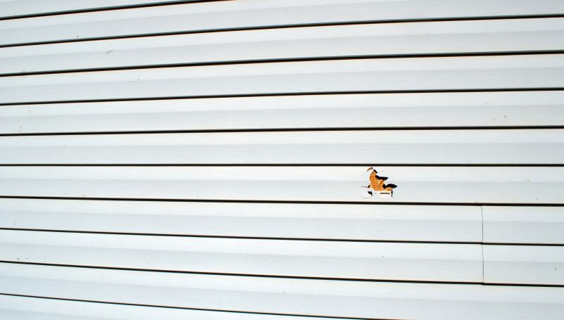 Vinyl Siding Repair - Image 1